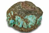 Tumbled Turquoise Specimen - Number Mine, Carlin, NV #260502-1